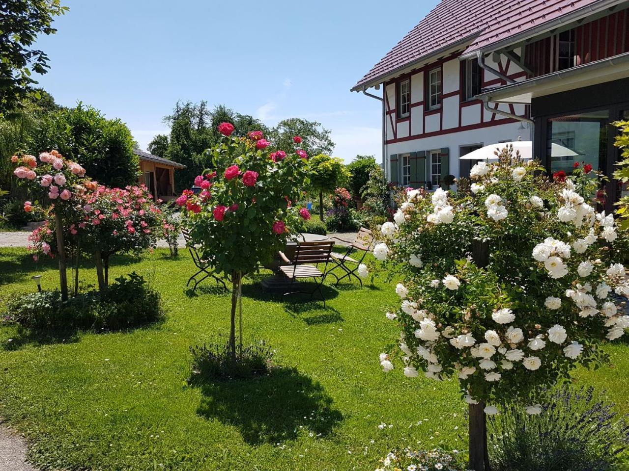 Landgut Apfelrose Hotel FDH Buitenkant foto
